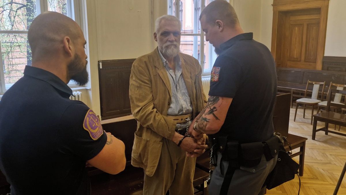 Bodnul na ulici muže, pak spěchal do cukrárny pro zákusky, protože měl narozeniny. Hrozí mu 20 let